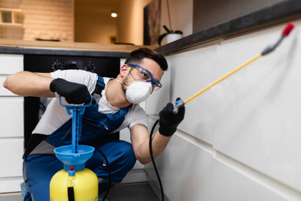 Best Flea Control Services  in Madison Lake, MN