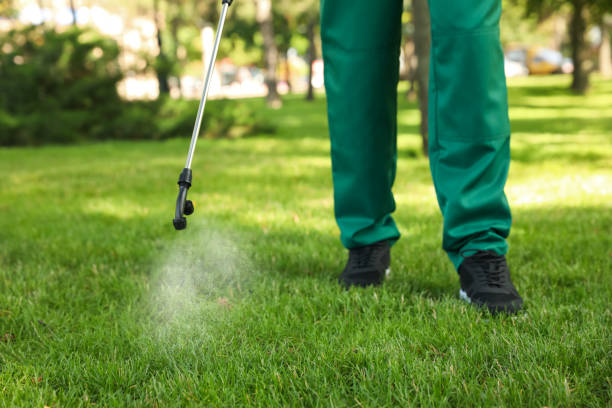 Best Affordable Pest Control Services  in Madison Lake, MN