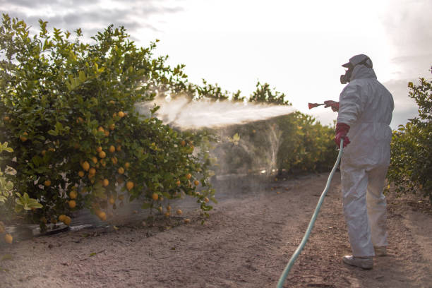 Best Pest Control for Businesses  in Madison Lake, MN