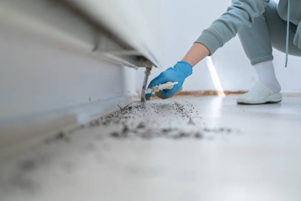 Best Mosquito Control Services  in Madison Lake, MN